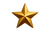Gold icon star